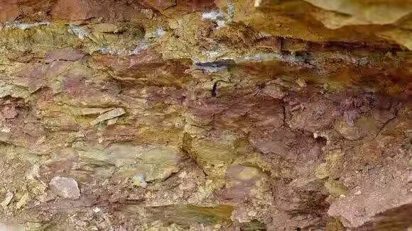 紫砂产地黄龙山，到底有多少矿区？