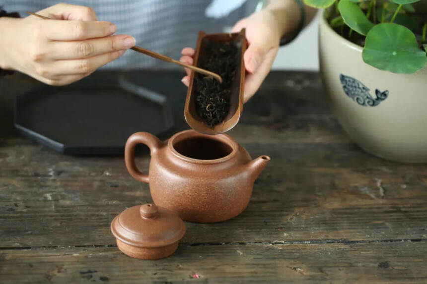 紫砂壶喝茶“铁律”，你知道多少？#紫砂壶