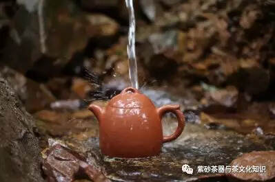 紫砂壶为什么宜茶，如何配茶！（一）
