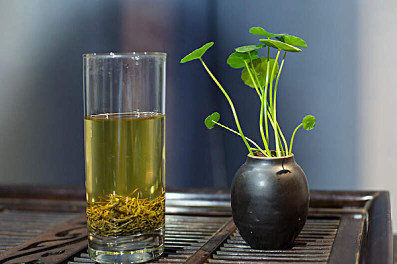 打开喝绿茶的正确姿势，教你鉴赏绿茶的茶艺