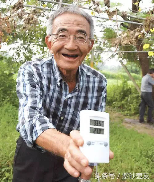 匠心丨这个日本傻瓜11年才种出2个苹果，却最终感动了全国……
