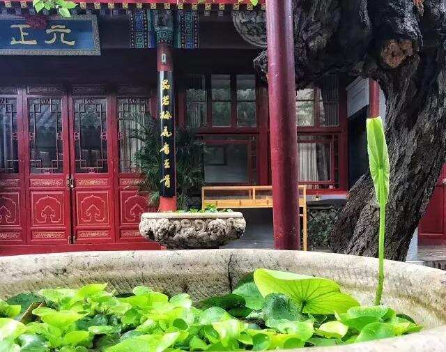 在北京，有这样一处不仅仅喝茶的小院