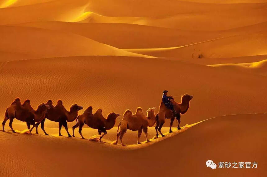 一种工艺，带你走进最火的《沙漠骆驼》
