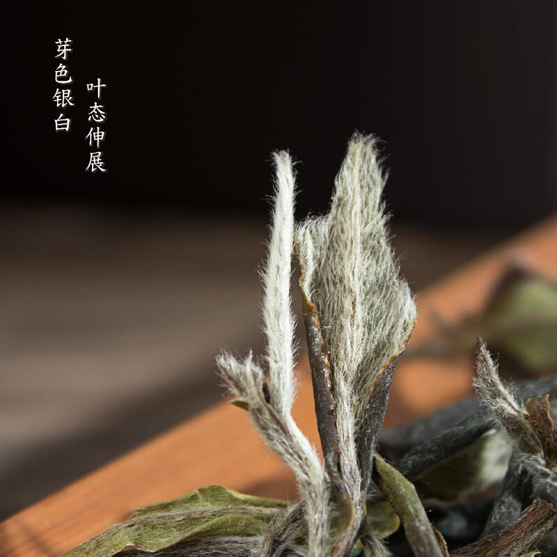 白茶测评｜平价“荒野老树白茶”怎么选？