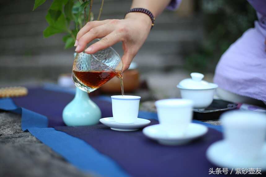 紫砂壶冲茶，竟然有这么多学问