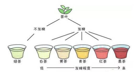 如何科学鉴别六大茶类？