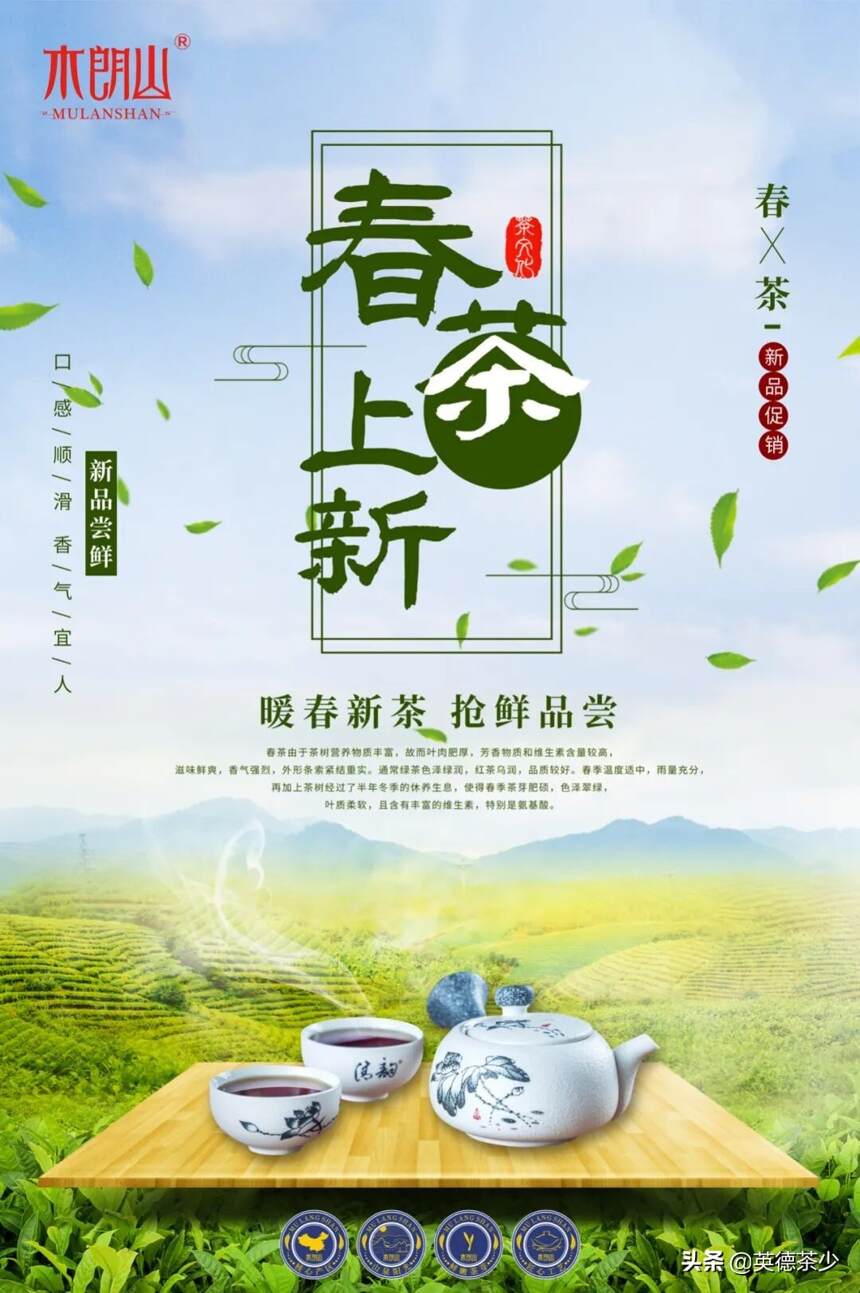 春茶季：英德红茶最美茶艺师带你走进木朗山