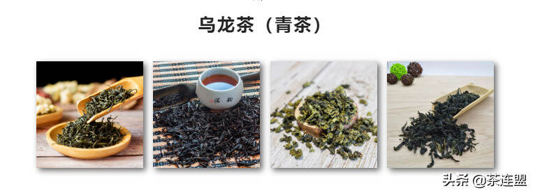 茶连盟丨常见茶分类盘点（三）《乌龙茶篇》