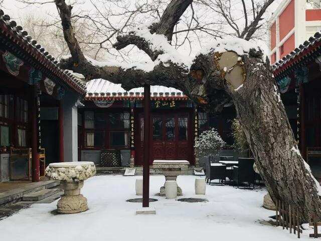 在北京，有这样一处不仅仅喝茶的小院