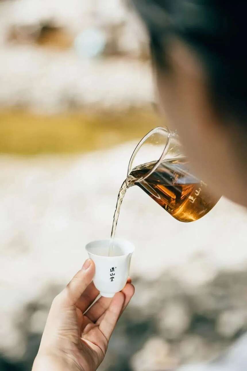 “真香”，您喝的茶究竟属于哪种香？