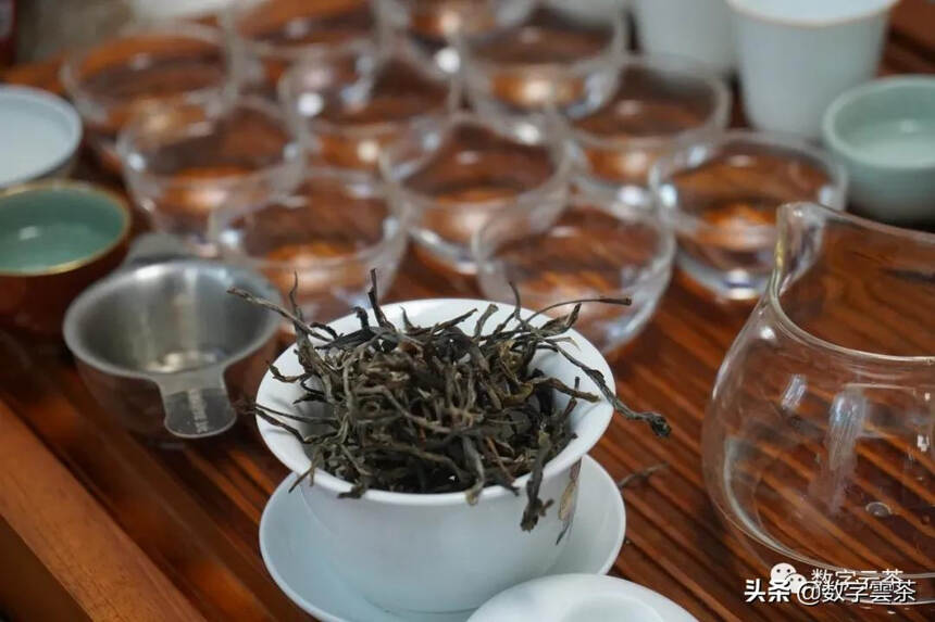 茶山游 丨 这个茶山游学不一般，亲手采茶制茶的新奇体验你想尝试吗