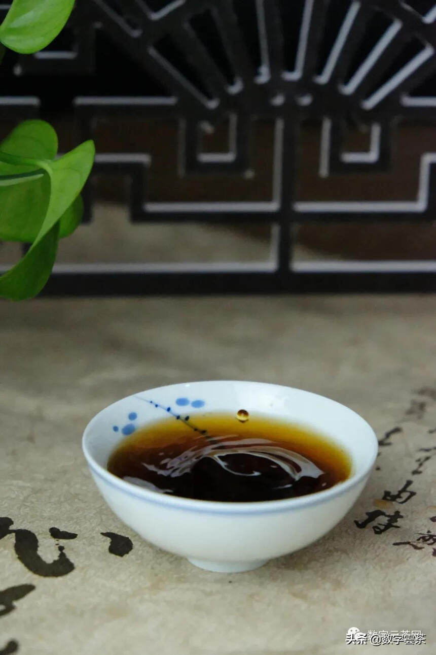 茶百科 丨 从一片叶子到一杯茶的神奇旅程——普洱熟茶篇