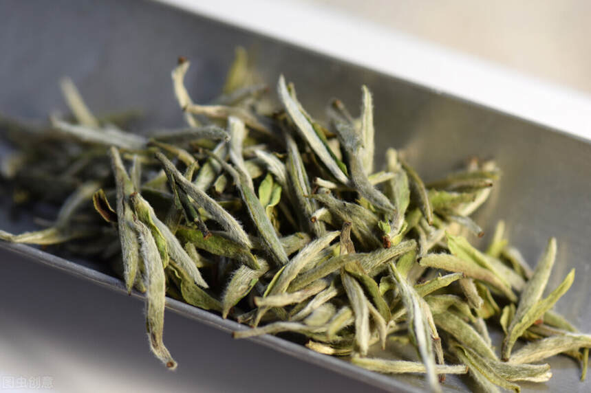 茶研室 丨 云南白茶与福建白茶的研究对比