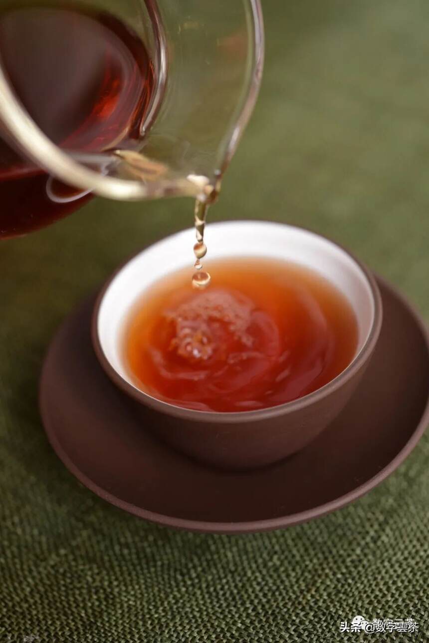 普洱茶世界之神奇的发酵剂