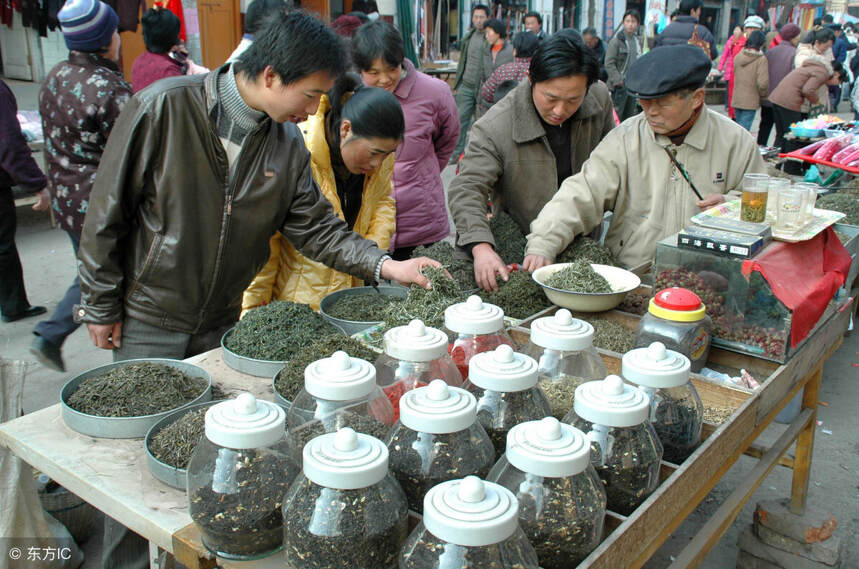 绿茶价格越来越高黑幕，行业专家实地考察