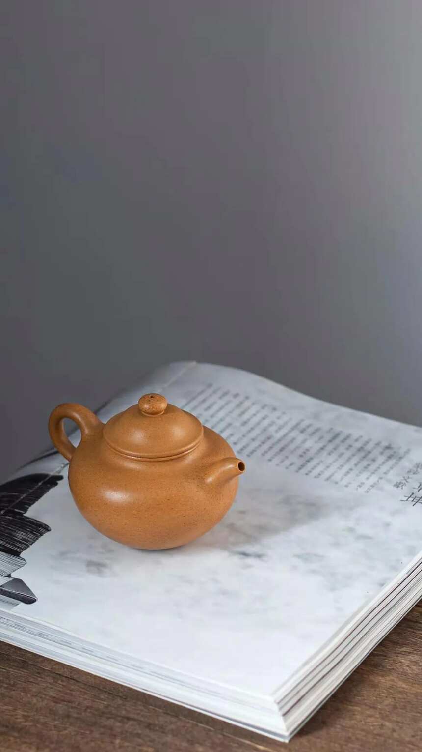 姚涛，莲子·全手工·260cc，原矿黄金段 宜兴原矿紫砂茶壶