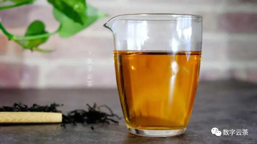 茶文化 丨 历代茶名的变迁，古人对茶的称呼如此的温文尔雅