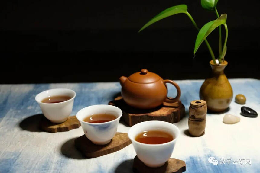 茶百科 丨 为什么喝普洱茶更解乏