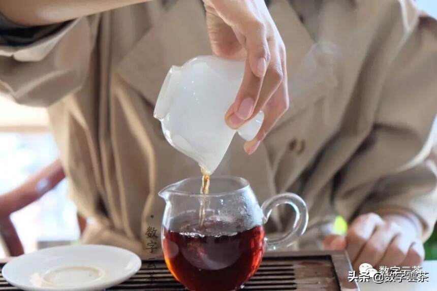 普洱茶汤中的呈味物质——苦、涩、甜、鲜的形成