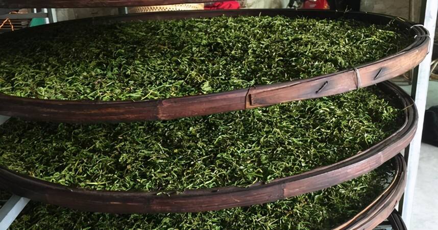 高山单丛系列，15泡后仍有余香，潮州功夫茶传统工艺制作