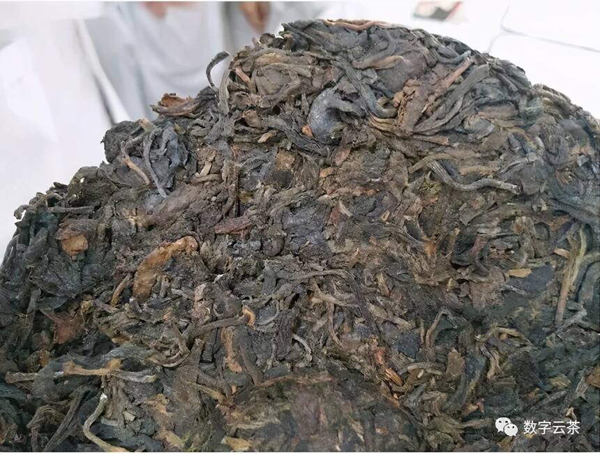 茶百科 丨 周红杰：形成普洱茶品质三大要素之科学的仓储