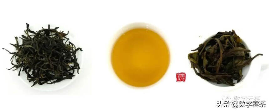 茶百科 丨 越陈越香的普洱茶，时间魔法下的神奇佳茗