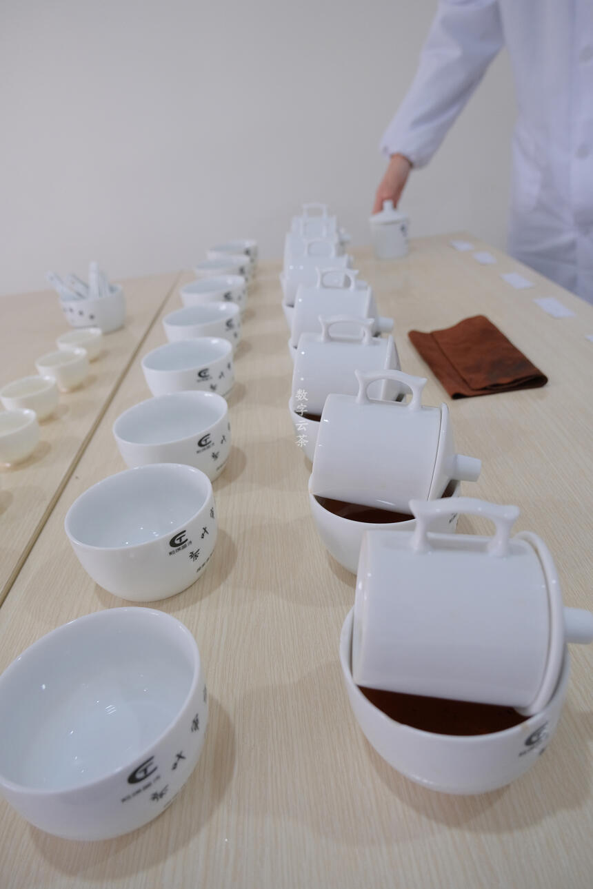 茶百科 丨 什么是普洱茶“325”审评法
