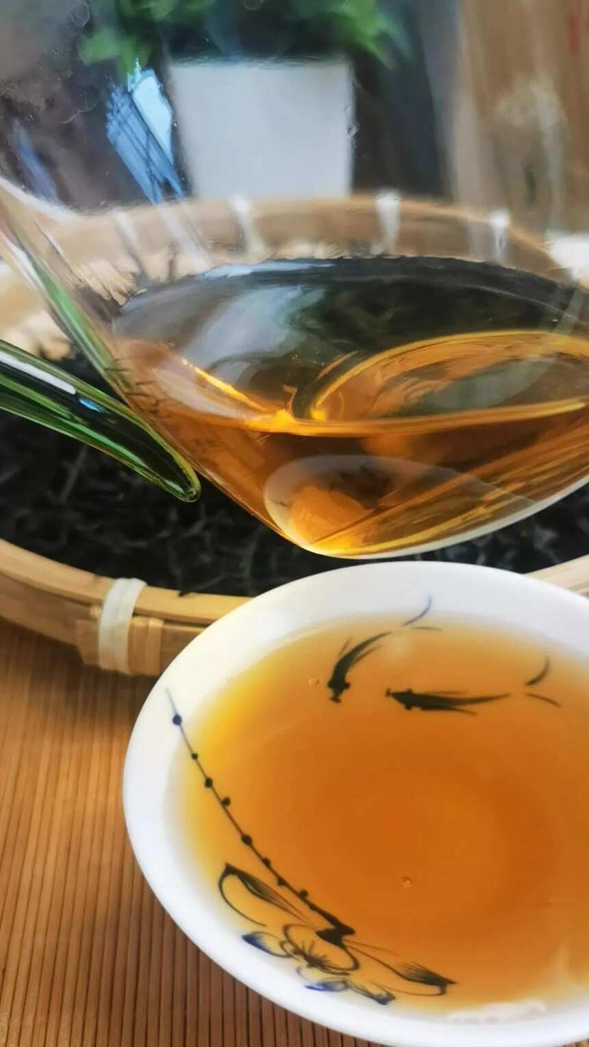 300年古树红茶