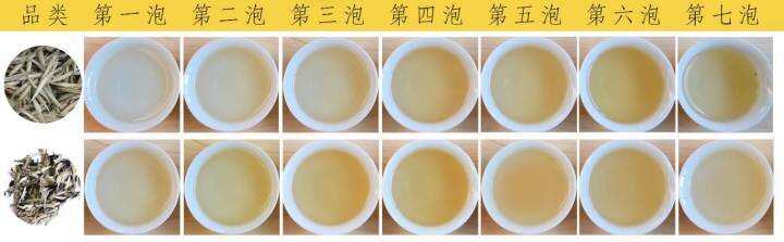 广东居然也有白茶？！