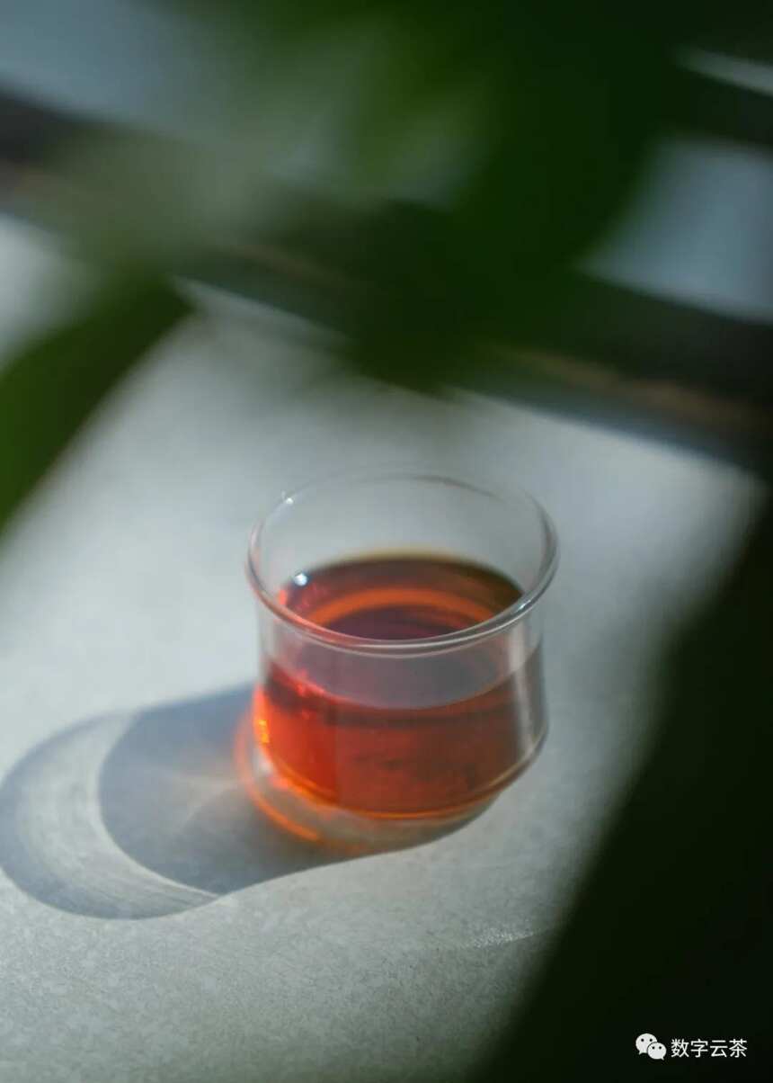 茶文化 丨 普洱茶又称“七子饼”，原来背后还藏着这么美的寓意