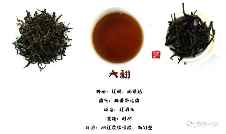 茶百科 丨 普洱熟茶原来是这样产生的！有意思