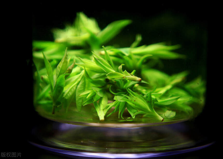 遇水复活的网红茶“青山绿水”是绿茶吗？非也，别被它外表骗了