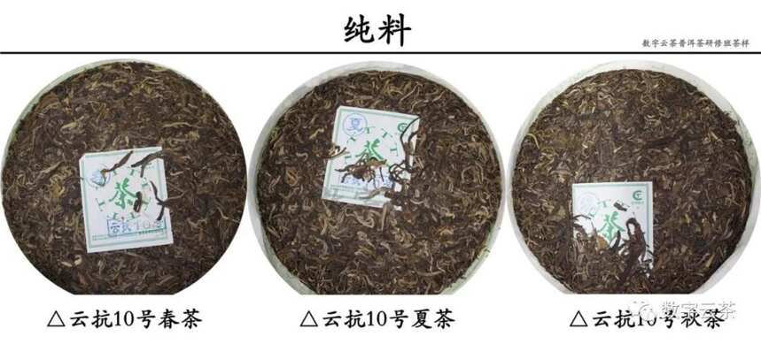 茶百科 丨 普洱茶黑话之单株、纯料、台地、古树（1）