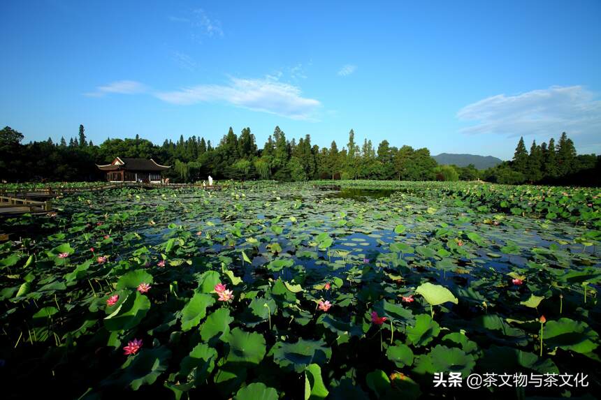 世界文化景观遗产地，杭州西湖茶馆的前世今生