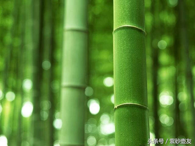 匠心丨那些在竹文化里诞生的名家紫砂竹壶，已经是一壶难求！