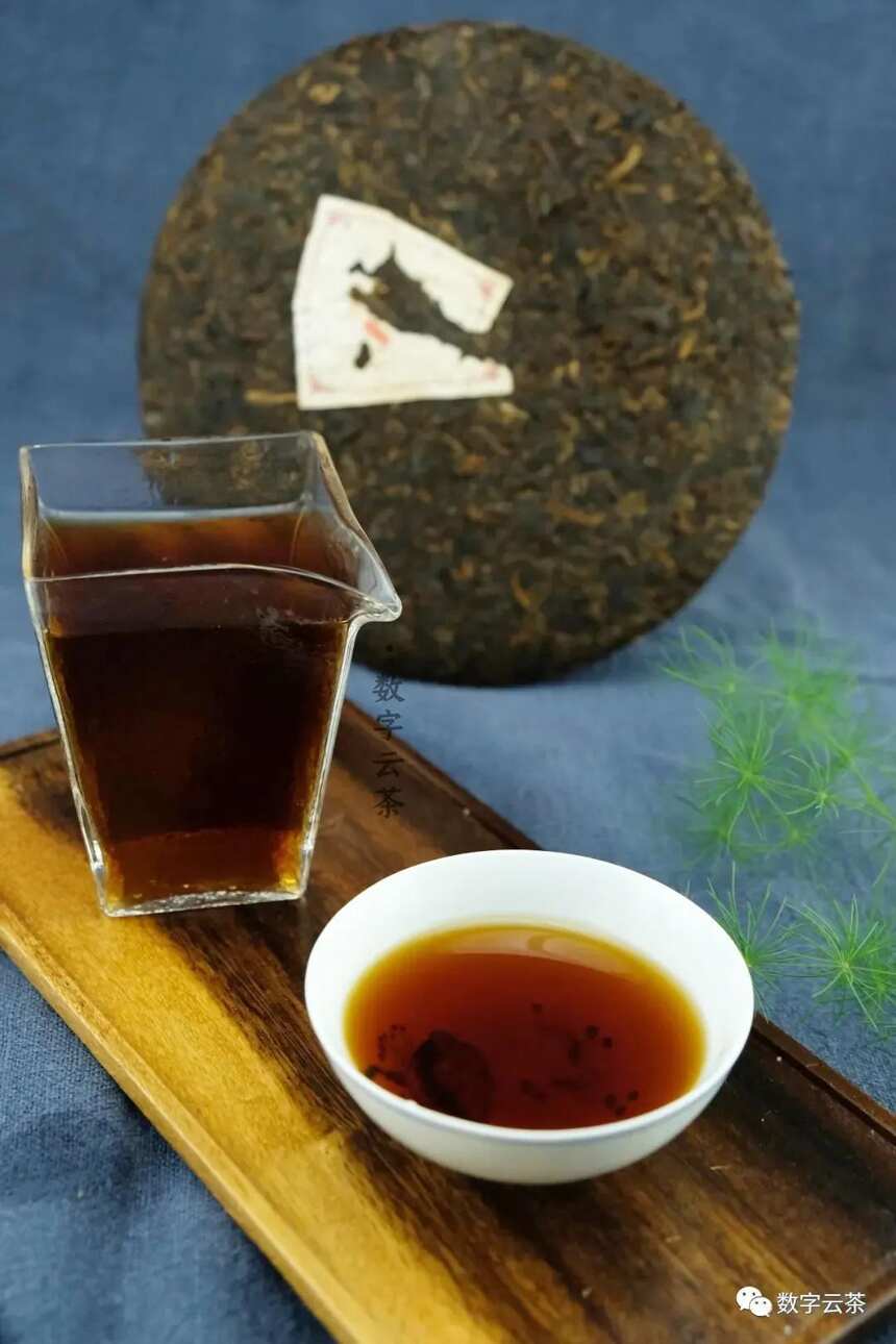 茶研室 丨 揭秘普洱茶减肥作用机制，肥胖患者的福音