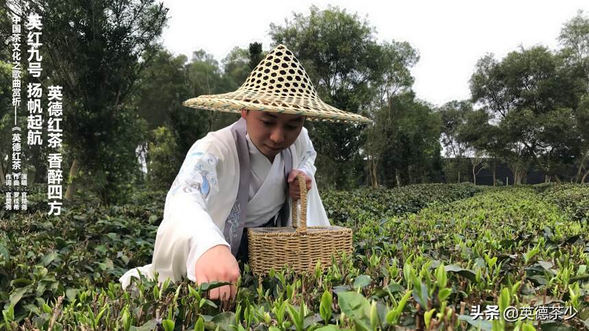 中国茶文化之歌曲赏析——《英德红茶》