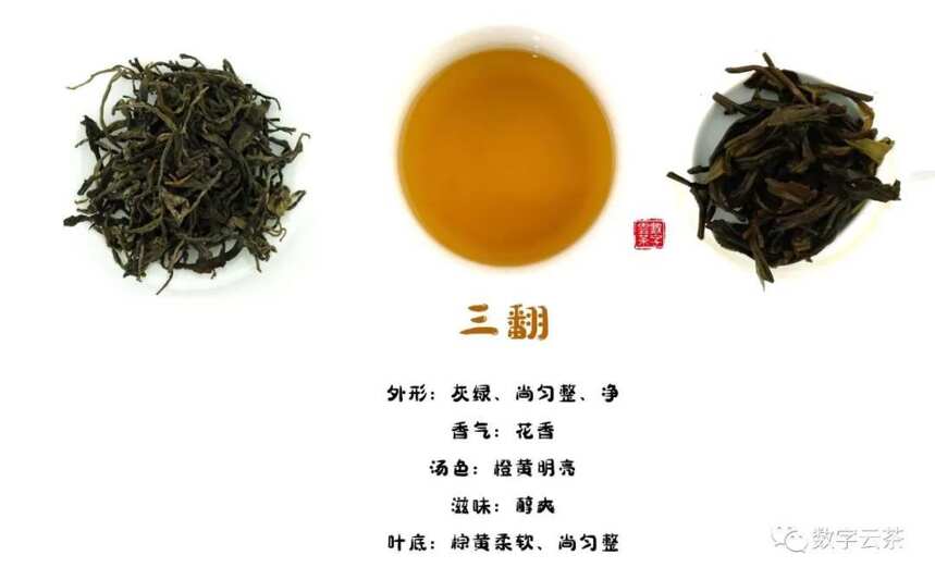 茶百科 丨 普洱熟茶原来是这样产生的！有意思