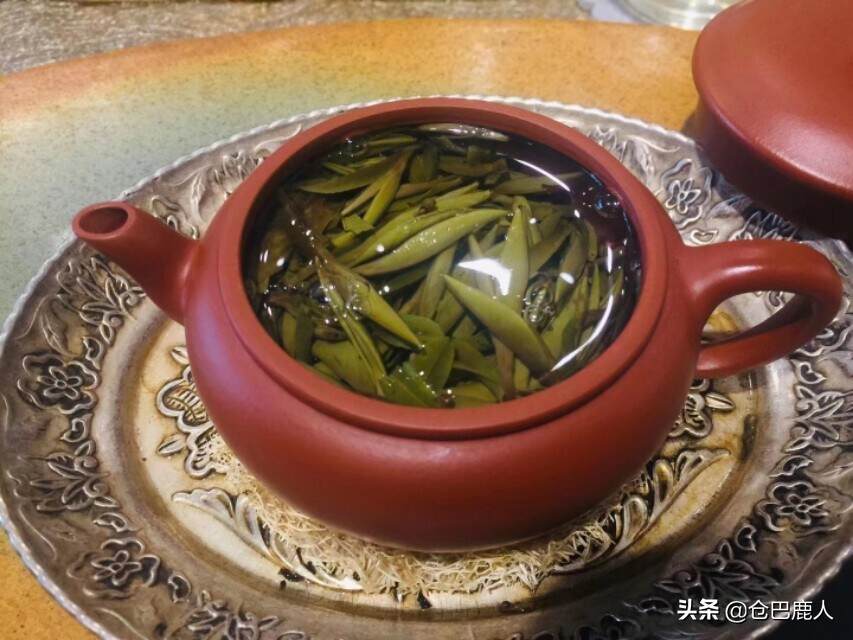 紫砂壶:高矮壶对茶汤的影响
