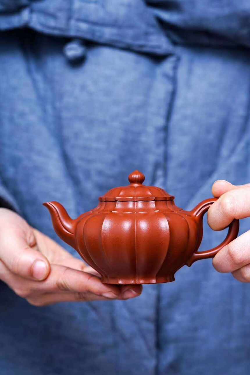 你的朱泥壶都泡哪些茶？一篇文章告诉你，朱泥壶适合泡什么茶