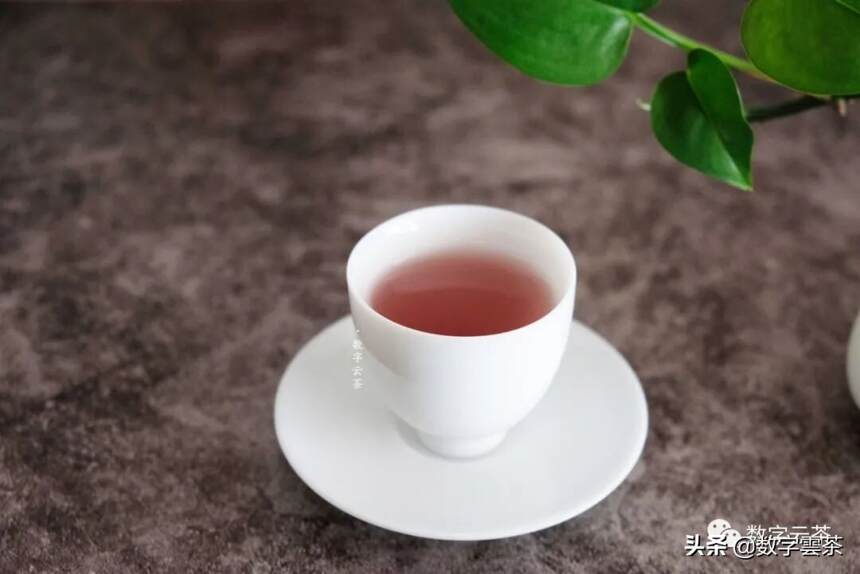 茶百科 丨 神奇的紫娟茶到底为何物？