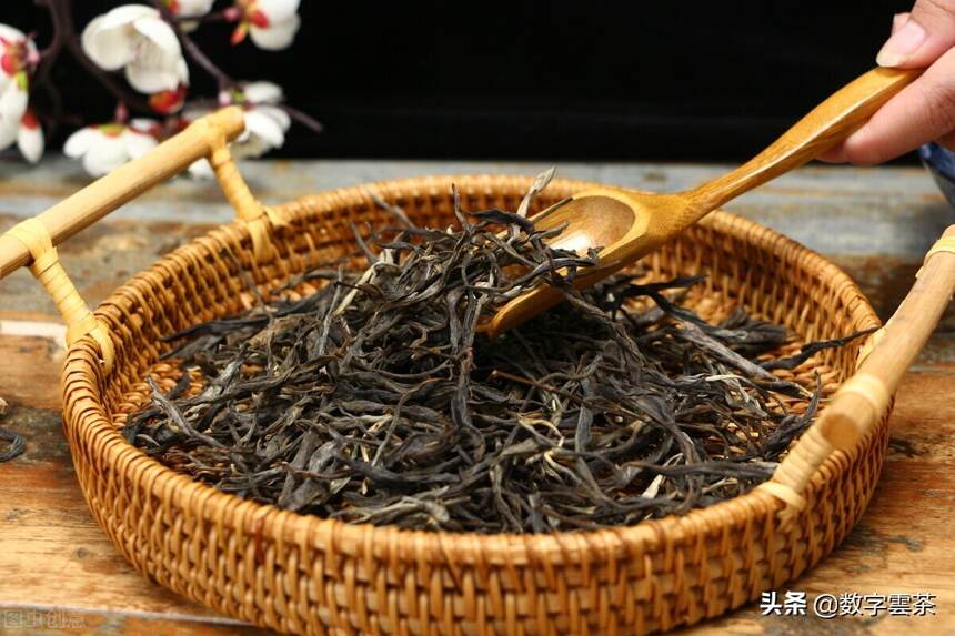 茶研室 丨 普洱茶的原料为什么是晒青而不是烘青炒青？