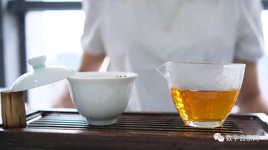 茶动态 丨 想象中茶人的日常vs真实的茶人日常