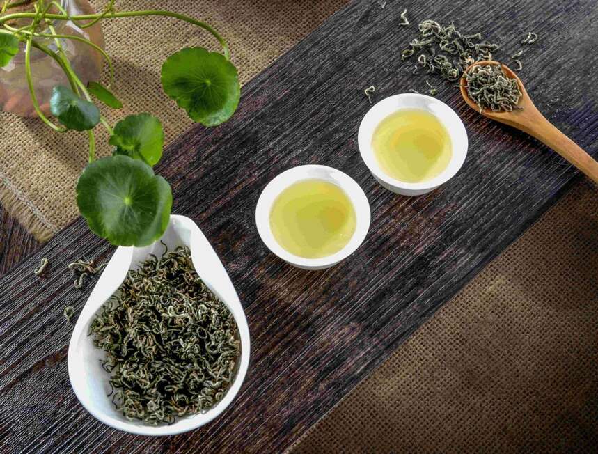 盘点四大茶产区里的“明星茶”，你家乡的茶上榜了吗？