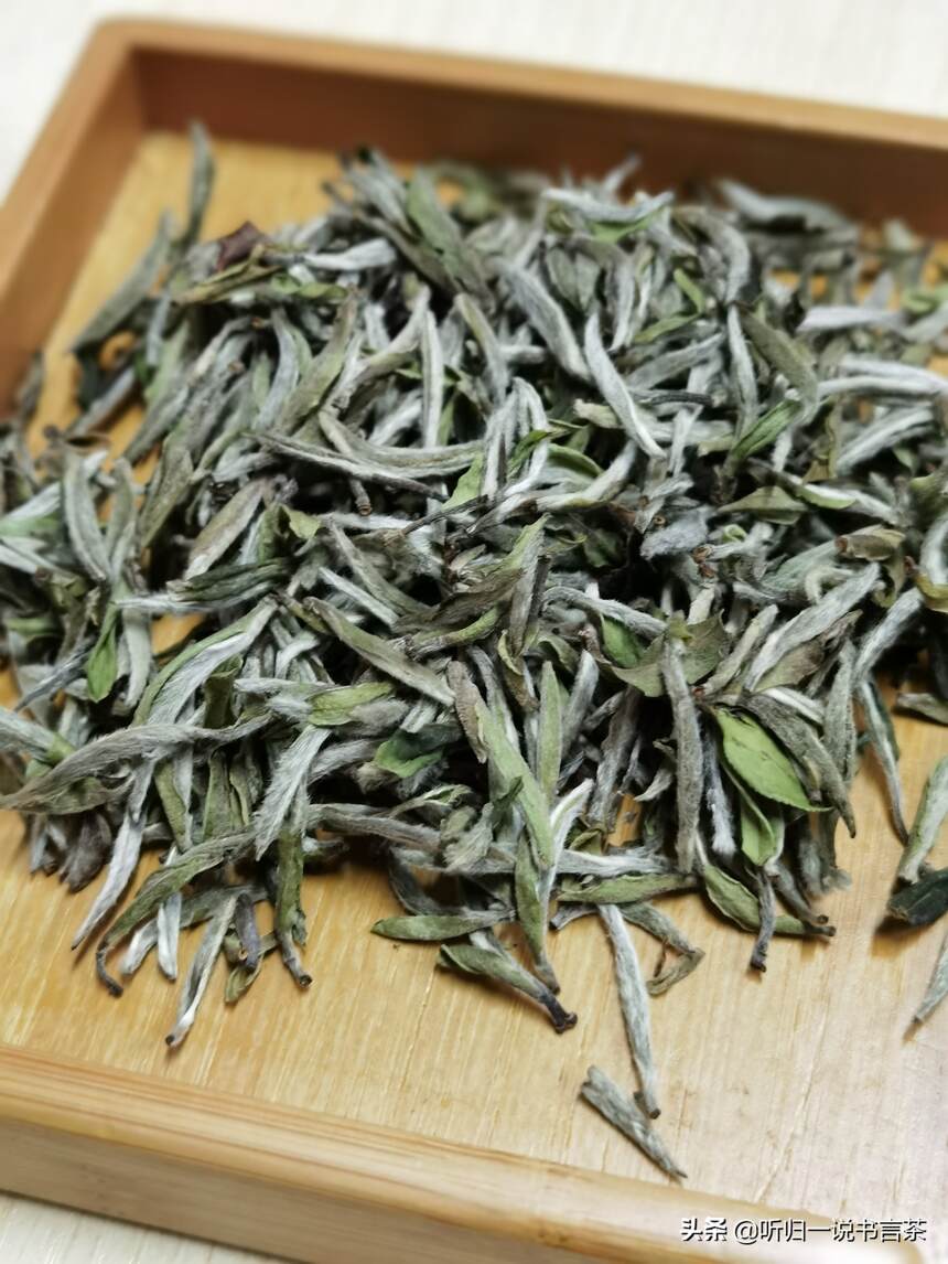 每天1分钟学习茶知识（30）吃粽子时，搭配喝什么茶好呢？