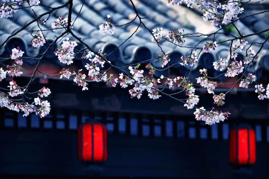 1200年前，日本皇妃写的茶诗这么美？原来都是唐朝文化的粉丝