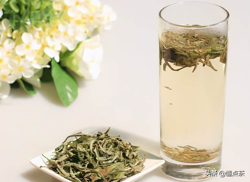 你知道绿茶和白茶的区别在哪里吗？