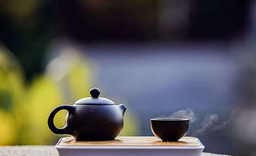 四季饮茶有讲究，其中区别需了解