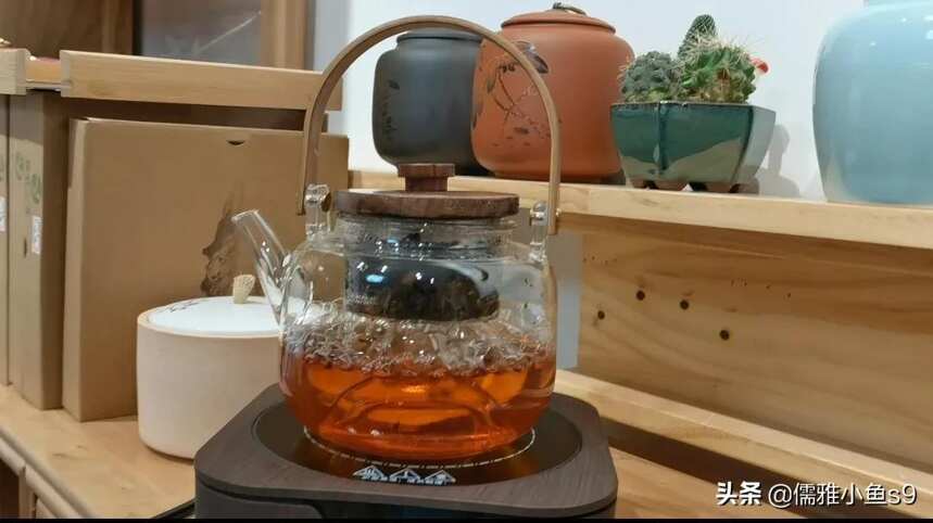 白茶篇：如何煮好一壶老白茶