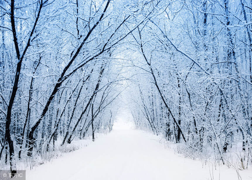 今年小雪降临时，最美的十首诗词，美得如画如梦一样迷人！